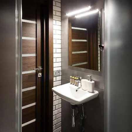 Lion King D1 Apartment Lviv